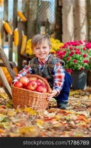 Little boy with a basket of red apples. Children pick ripe vegetables at the farm during the holiday season. The concept of the autumn harvest on the farm.. Little boy with a basket of red apples. Children pick ripe vegetables at the farm.