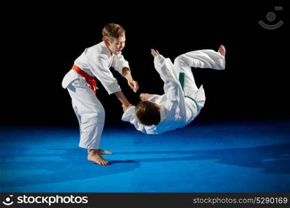 Little boys martial arts fighters isolated