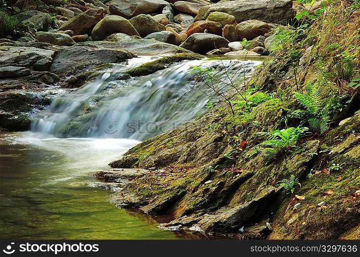 Little brook waterfall, summer season