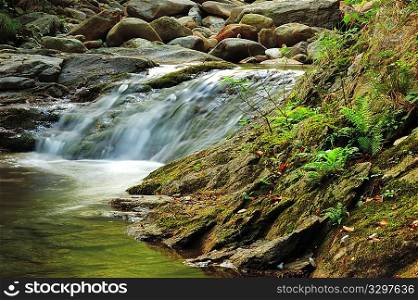Little brook waterfall, summer season