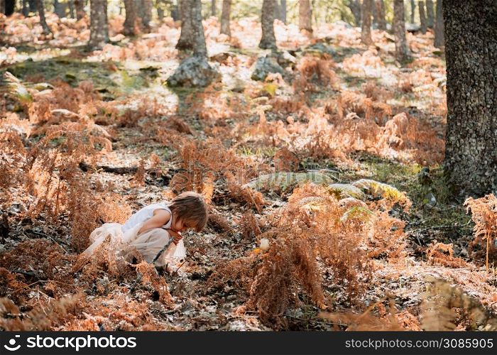 Little caucasian baby girl squatting in the forest among ferns plays with plants. Little caucasian baby girl squatting in the forest among ferns