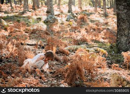 Little caucasian baby girl squatting in the forest among ferns plays with plants. Little caucasian baby girl squatting in the forest among ferns
