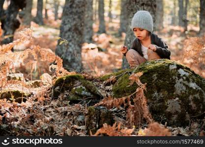 Little caucasian baby girl squatting wearing a wool cap in an autumn forest among ferns plays with plants. Little girl in an autumn forest among ferns