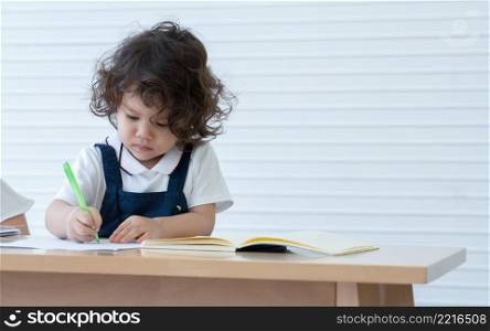 Little Caucasian cute kid girl writing or drawing on book in living room at home. White background