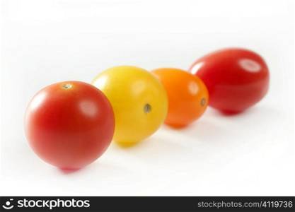Little cherry varied multi color tomatoes