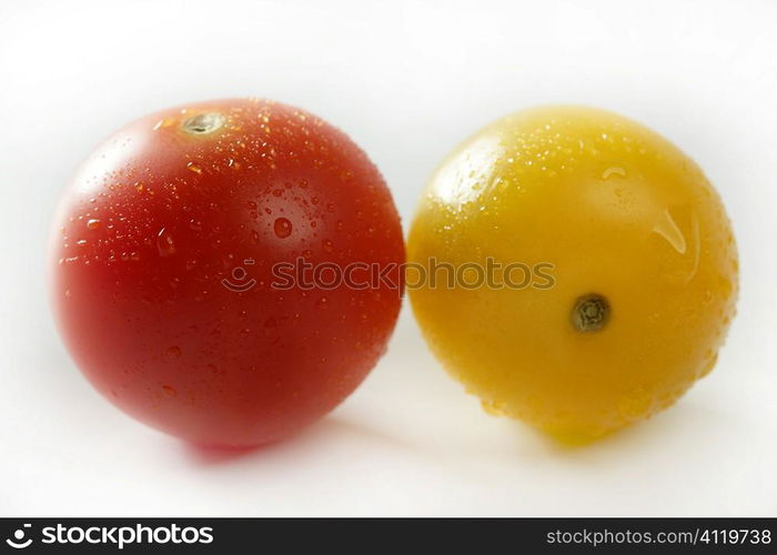 Little cherry varied multi color tomatoes