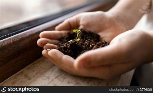 little child holding dirt sprout his hands