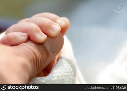 Little child holding father&rsquo;s hand. Close-up view