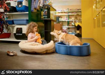 Little child playing with her corgi dog at pet shop. Supermarket assortment for domestic animal. Little child playing with her corgi dog at pet shop