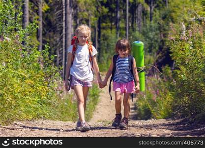 little children on a hike. Fun girl girlfriends go along the trail against the backdrop of a pine forest