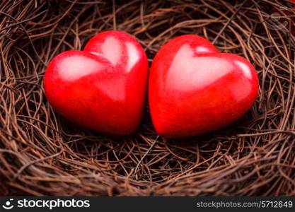 Little cozy nest with two red hearts. Valentine&#39;s day greetings concept