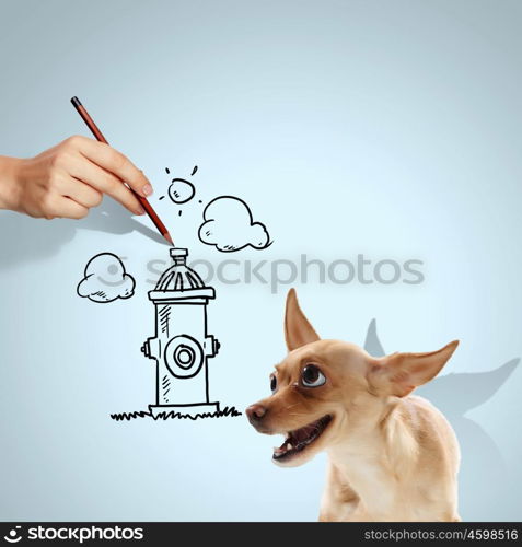 Little funny dog. Image of little funny dog and human hand