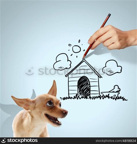 Little funny dog. Image of little funny dog and human hand