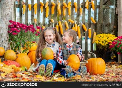 Little girl and boy picking pumpkins for Halloween pumpkin patch. Children pick ripe vegetables at the farm during the holiday season. Autumn harvest concept on the farm.. Little girl and boy picking pumpkins for Halloween pumpkin patch. Children pick ripe vegetables at the farm during the holiday season.