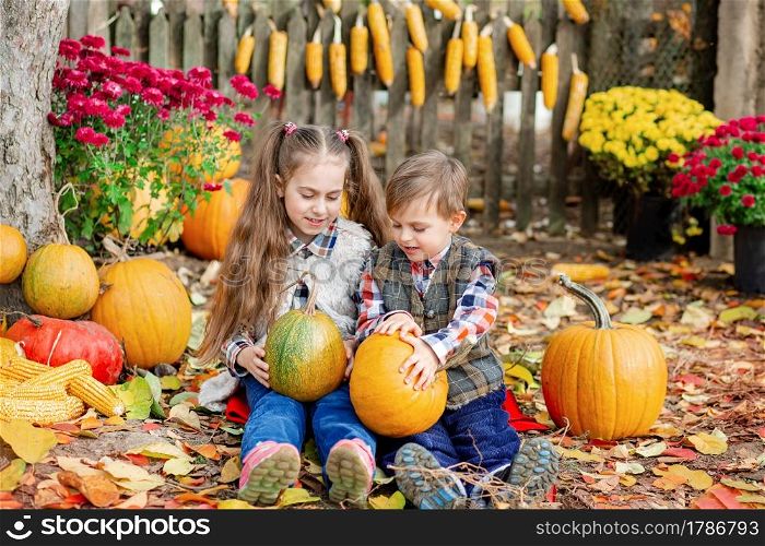 Little girl and boy picking pumpkins for Halloween pumpkin patch. Children pick ripe vegetables at the farm during the holiday season. Autumn harvest concept on the farm.. Little girl and boy picking pumpkins for Halloween pumpkin patch. Children pick ripe vegetables at the farm during the holiday season.