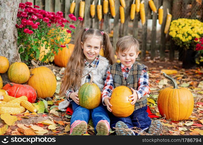 Little girl and boy picking pumpkins for Halloween pumpkin patch. Children pick ripe vegetables at the farm during the holiday season. Autumn harvest concept on the farm.. Little girl and boy picking pumpkins for Halloween pumpkin patch. Children pick ripe vegetables at the farm during the holiday season.