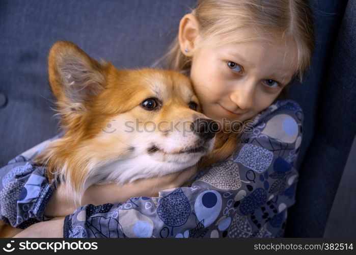 little girl and cute corgi fluffy