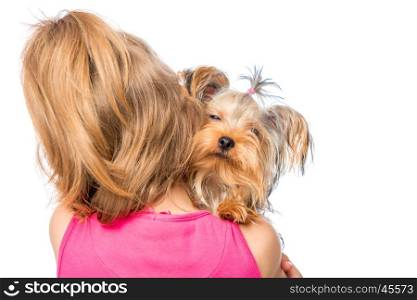 little girl and pet dog on her shoulder