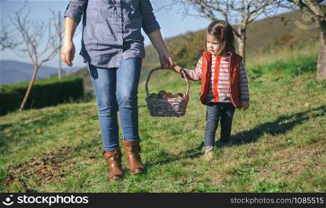 Little girl and woman carrying a wicker basket with fresh organic apples. Healthy food and harvest time concept.. Little girl and woman carrying basket with apples