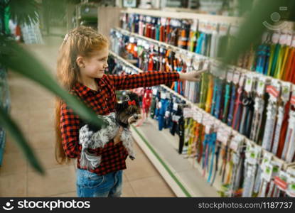 Little girl choosing leash and collar for her puppy, pet store. Child buying equipment in petshop, accessories for domestic animals. Little girl choosing leash and collar, pet store