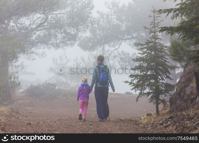 Little girl hiking bay the trail in the forest.