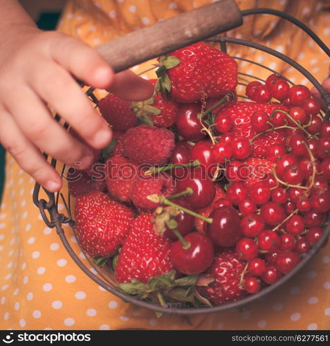 Little girl holds metal basket with summer fruits