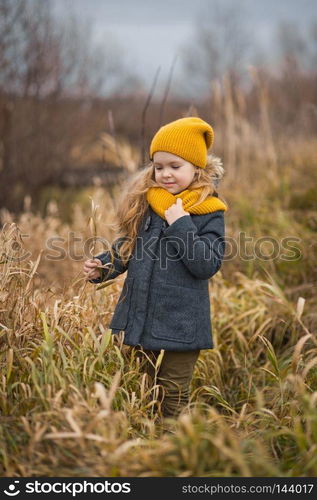 Little girl in a yellow hat and scarf walks along the shore of a river in autumn.. Autumn walk girl in the thickets of red grass 9783.