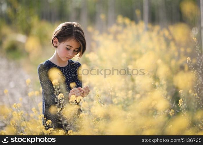Little girl in nature field wearing beautiful dress between yellow flowers