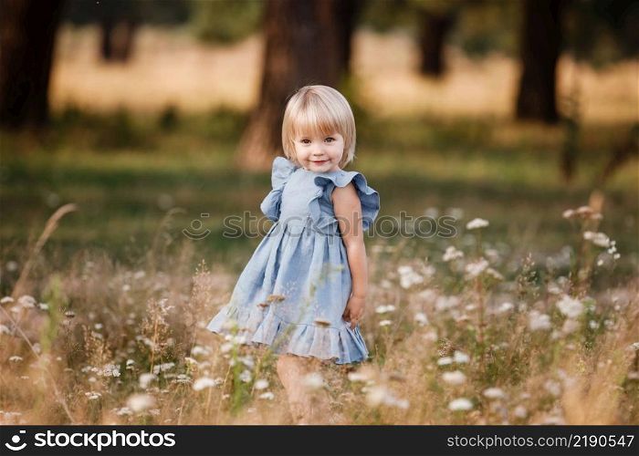 little girl is wearing in a blue dress in a field on summer sunny day. Portrait of adorable little child outdoors. happy holiday childhood. little girl is wearing in a blue dress in a field on summer sunny day. Portrait of adorable little child outdoors. happy holiday childhood.