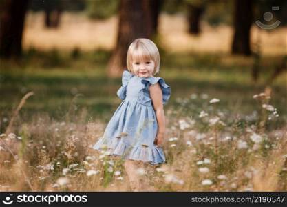 little girl is wearing in a blue dress in a field on summer sunny day. Portrait of adorable little child outdoors. happy holiday childhood. little girl is wearing in a blue dress in a field on summer sunny day. Portrait of adorable little child outdoors. happy holiday childhood.