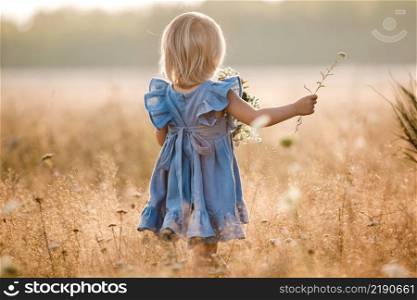 little girl is wearing in a blue dress in a field on summer sunny day. Portrait of adorable little child outdoors. happy holiday childhood. back view. little girl is wearing in a blue dress in a field on summer sunny day. Portrait of adorable little child outdoors. happy holiday childhood. back view.