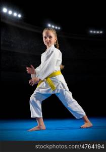 Little girl martial arts fighter in sports hall