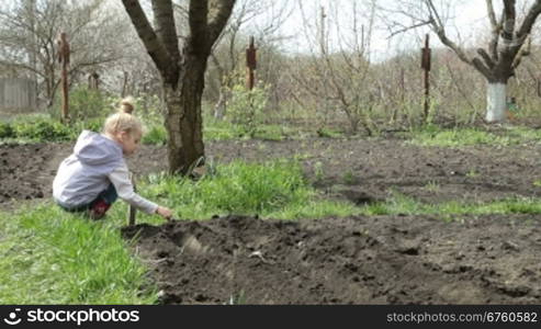 Little Girl Planting Peas on Smallholder Farm