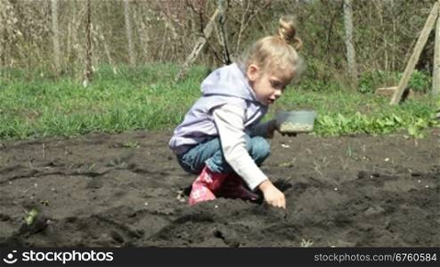 Little Girl Planting Peas on Smallholder Farm