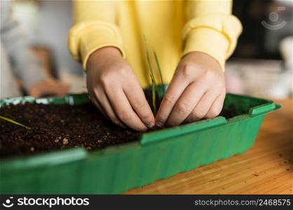 little girl planting sprouts home