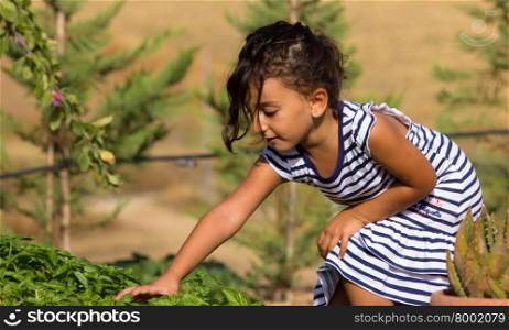 Little girl playing in the garden picking basil