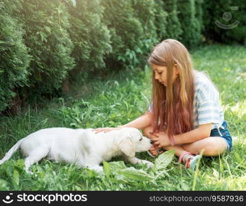 Little girl playing with a golden retriever puppy in the garden. Friends at home.