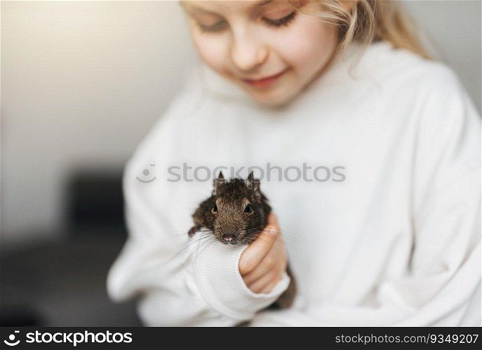 Little girl playing with cute chilean degu squirrel.  Cute pet sitting on kid’s hand