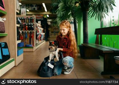 Little girl puts her puppy in bag, pet store. Child buying equipment in petshop, accessories for domestic animals. Little girl puts her puppy in bag, pet store