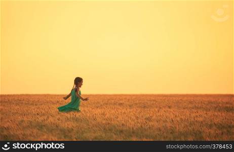 little girl running at the orange evening wheat field