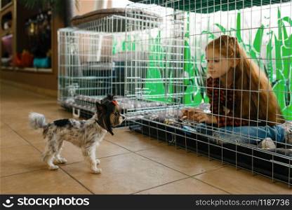 Little girl sitting in big cage, pet store. Child buying equipment in petshop, accessories for domestic animals. Little girl sitting in big cage, pet store