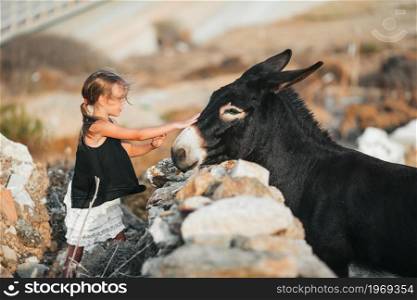 Little girl stroking a donkey on the greek island. Little girl with donkey on the island of Mykonos