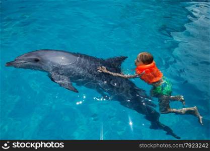 Little Girl Swimming with the Dolphin in the Swimming Pool in the Bright Sunny Day