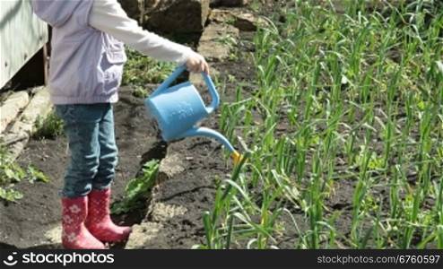 Little girl watering garlic on smallholder farm