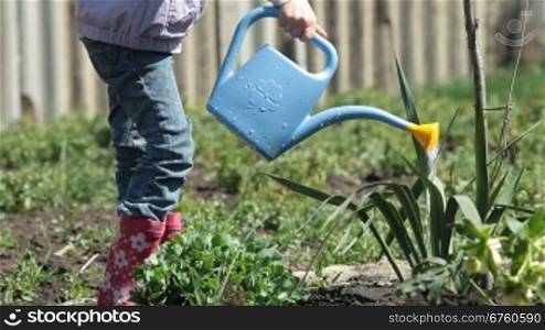Little girl watering plants on smallholder farm