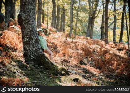 Little girl wearing a wool cap in an autumn forest among ferns. Little girl in an autumn forest among ferns