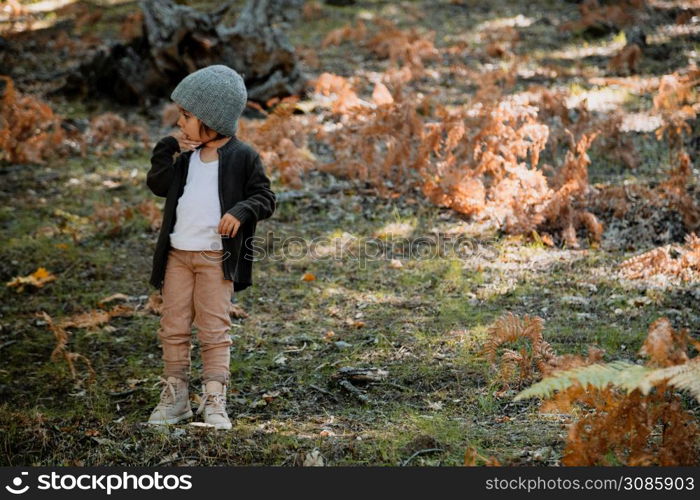 Little girl wearing a wool cap in an autumn forest among ferns plays with plants. Little girl in an autumn forest among ferns