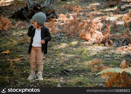 Little girl wearing a wool cap in an autumn forest among ferns plays with plants. Little girl in an autumn forest among ferns