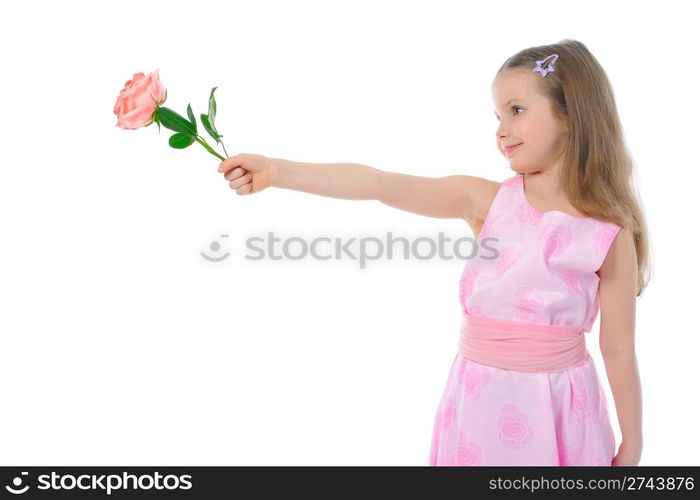 little girl with a rose. Isolated on white background