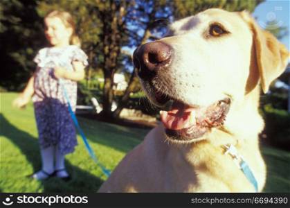 Little Girl With Dog on Leash